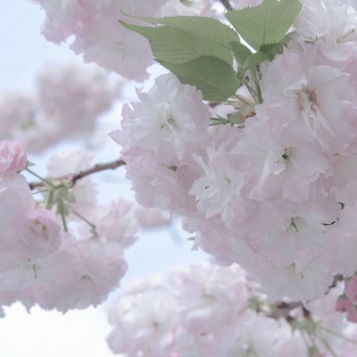 Furry绘画细节技巧福瑞交流群